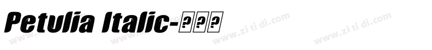 Petulia Italic字体转换